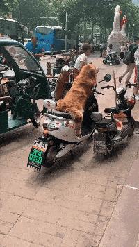 丝袜上可以纹身吗,女生纹身还能穿丝袜吗