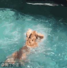 做服务员没口才,做服务员没有工作怎么办