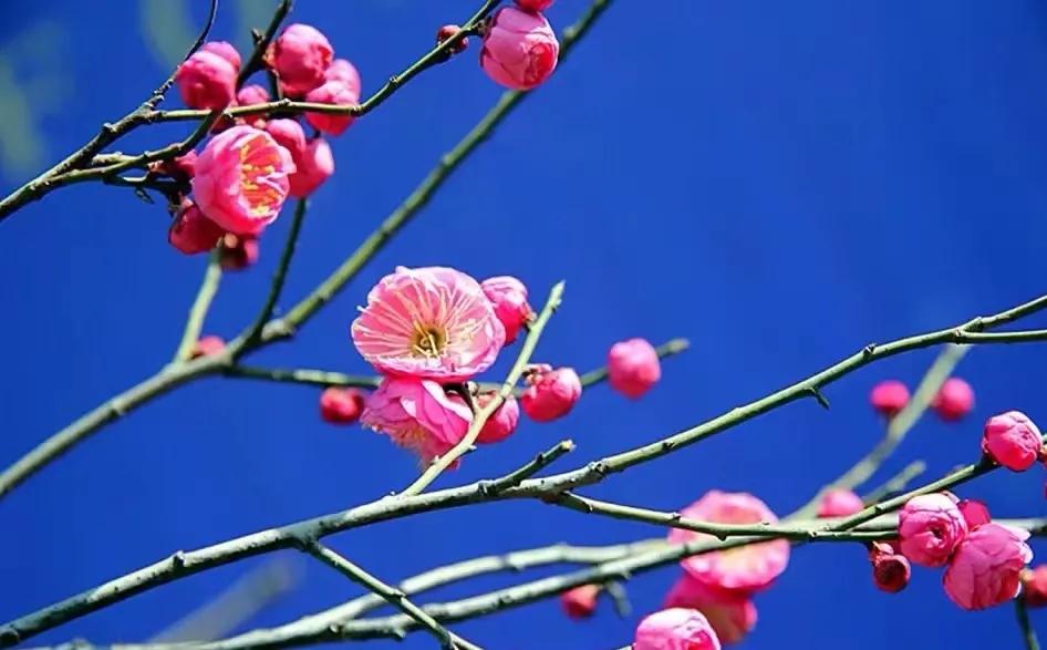 38有什么含义,38含义和寓意是什么