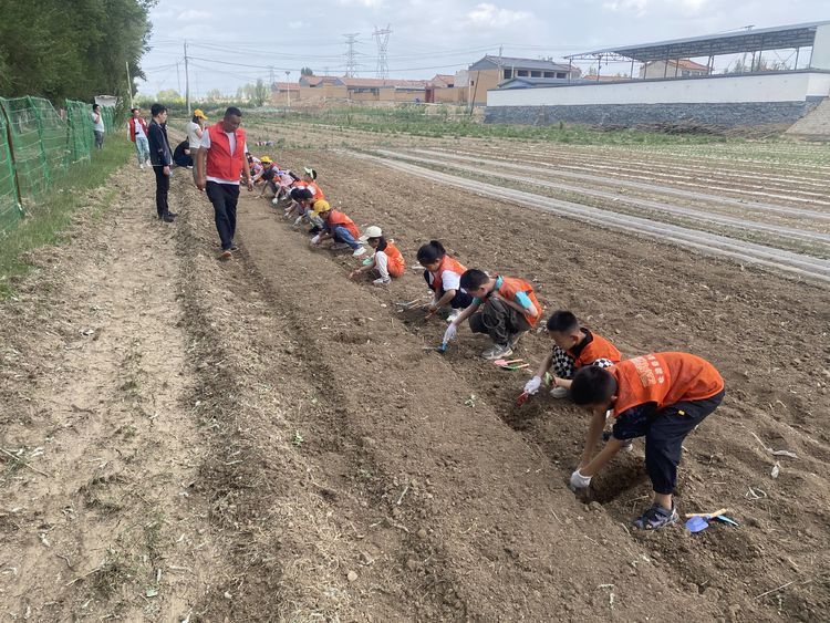 助力乡村振兴暑假研学实践活动,考察农耕田园研学基地目的