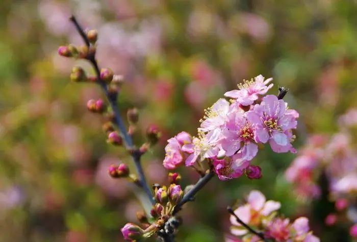 女星护肤祛斑视频,女明星祛斑最快的方法