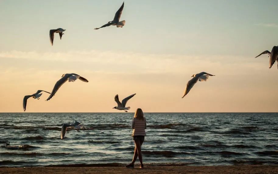 中专毕业找工作,中专毕业考博士