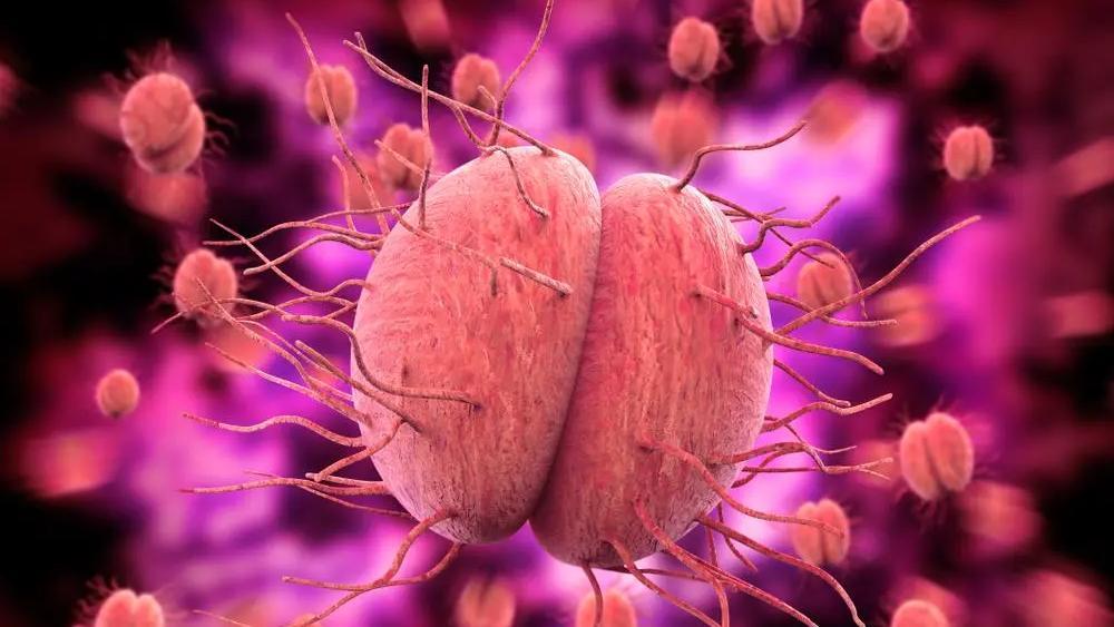 小孩掏鼻孔导致脑膜炎,男童抠鼻子导致脑膜炎