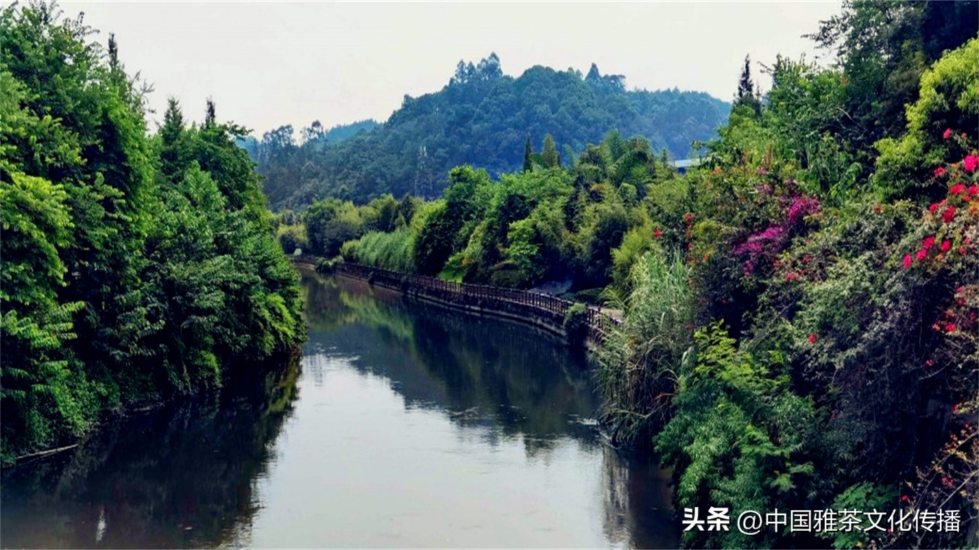 有一种幸福叫友情,幸福和谐的一家人