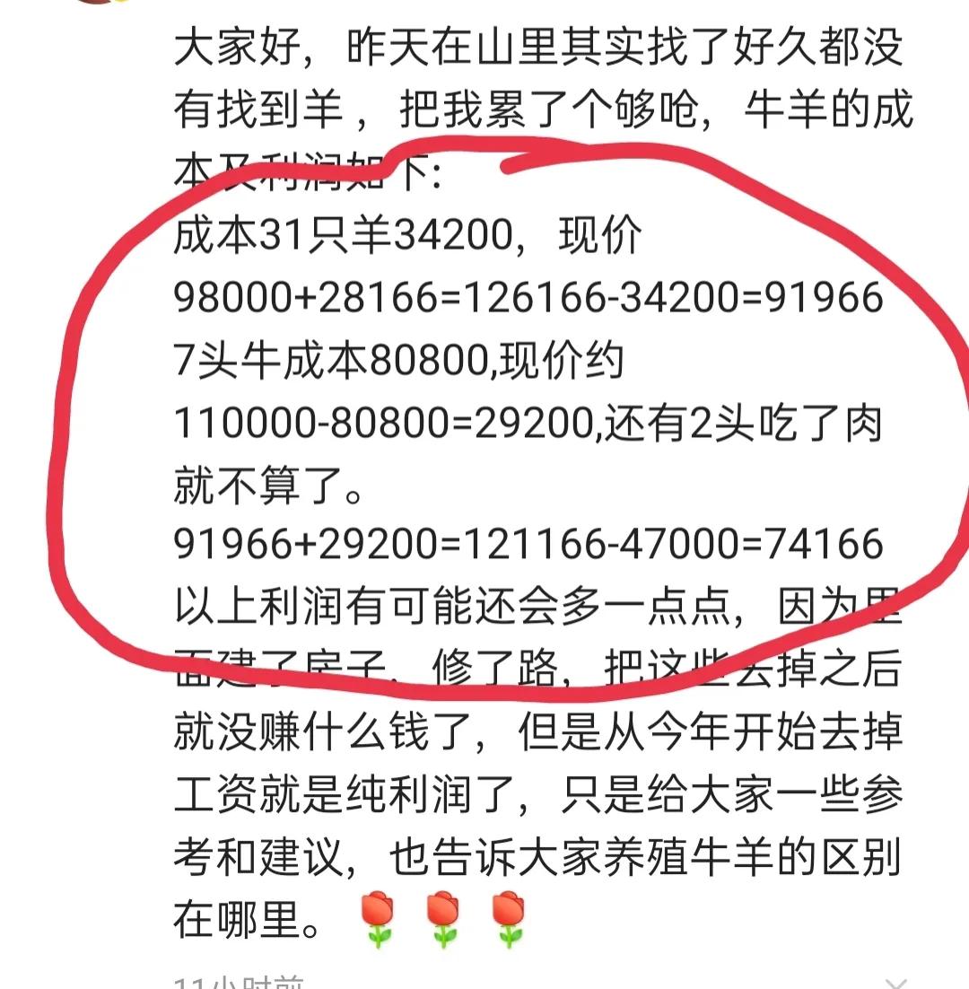 农村散养什么羊赚钱多,散养牛羊的最佳方法