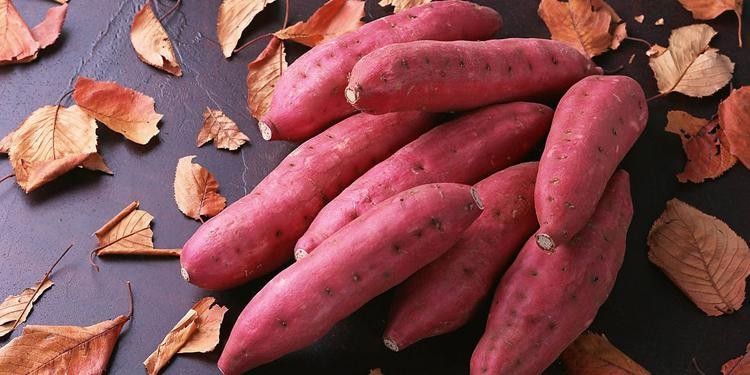 自晒红薯干怎样不容易坏,晒红薯干要不要用盐水泡