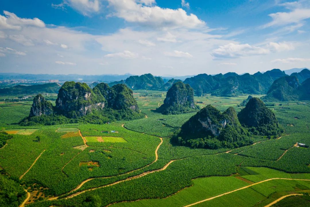 盘点那些过气网红的现状,2020年已经过气的网红