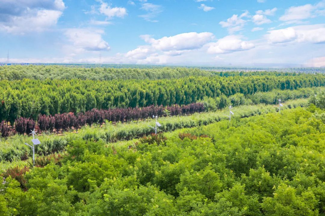 天津咸水沽旅游攻略,天津津南咸水沽美景