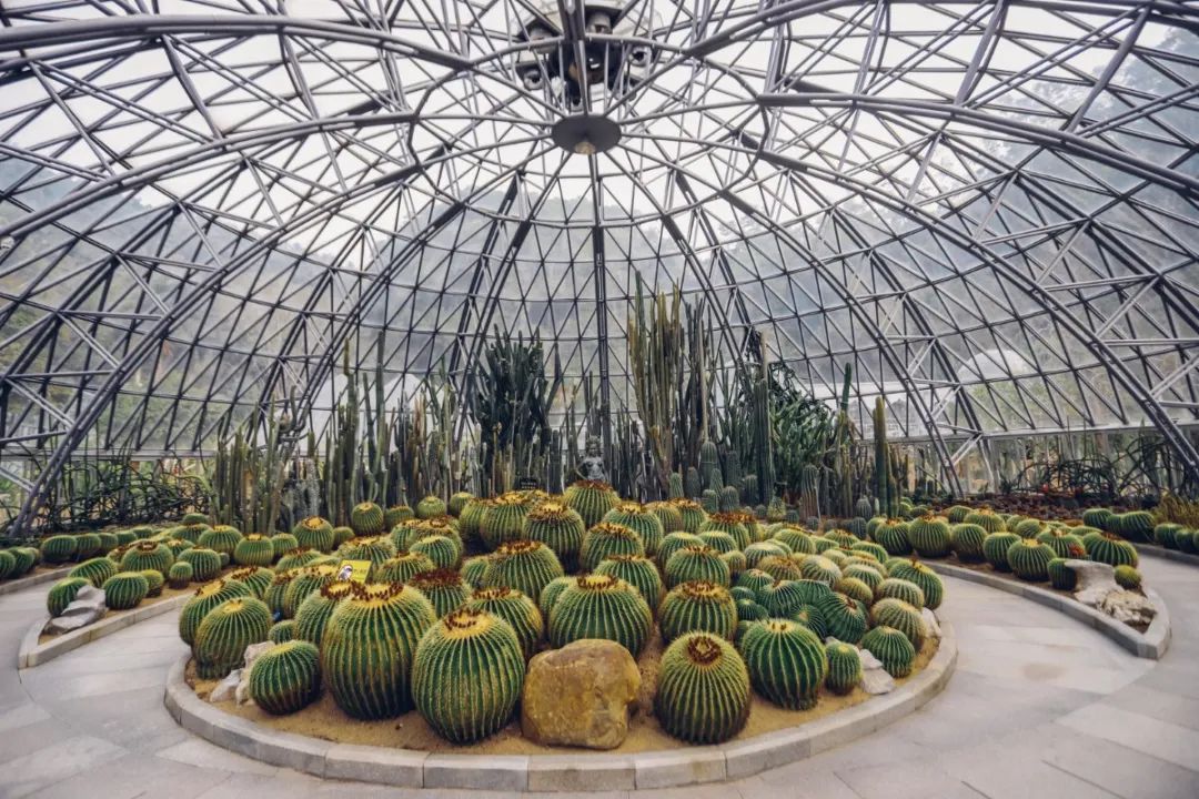 罗湖夜间游玩景点攻略大全,深圳罗湖八大必去免费景点室内