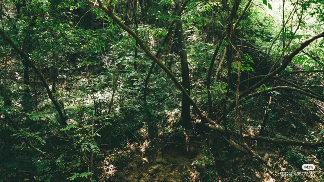 昆明周边世外桃源,最近昆明周边游玩景点推荐一日游
