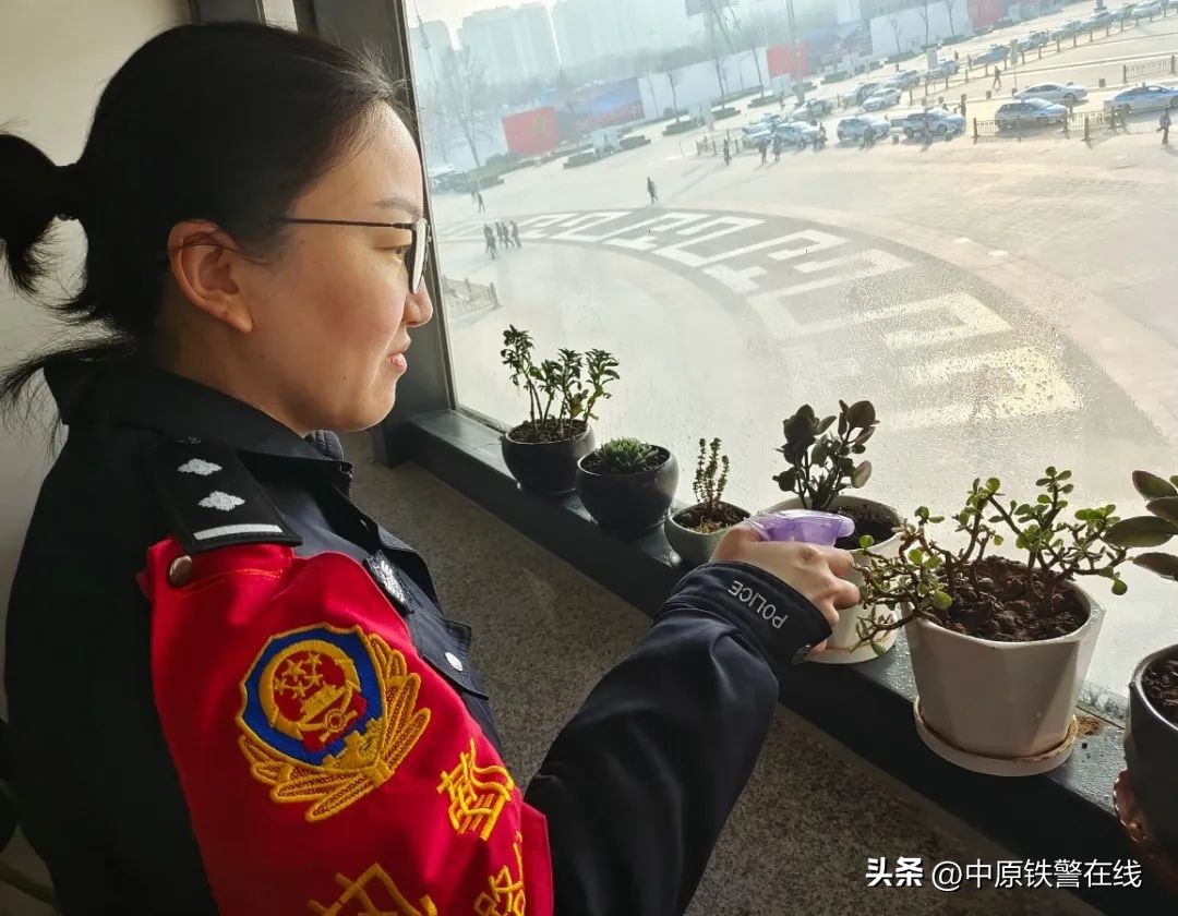 拥抱春天播种希望植树节手抄报,植树节拥抱春天播种梦想主题班会