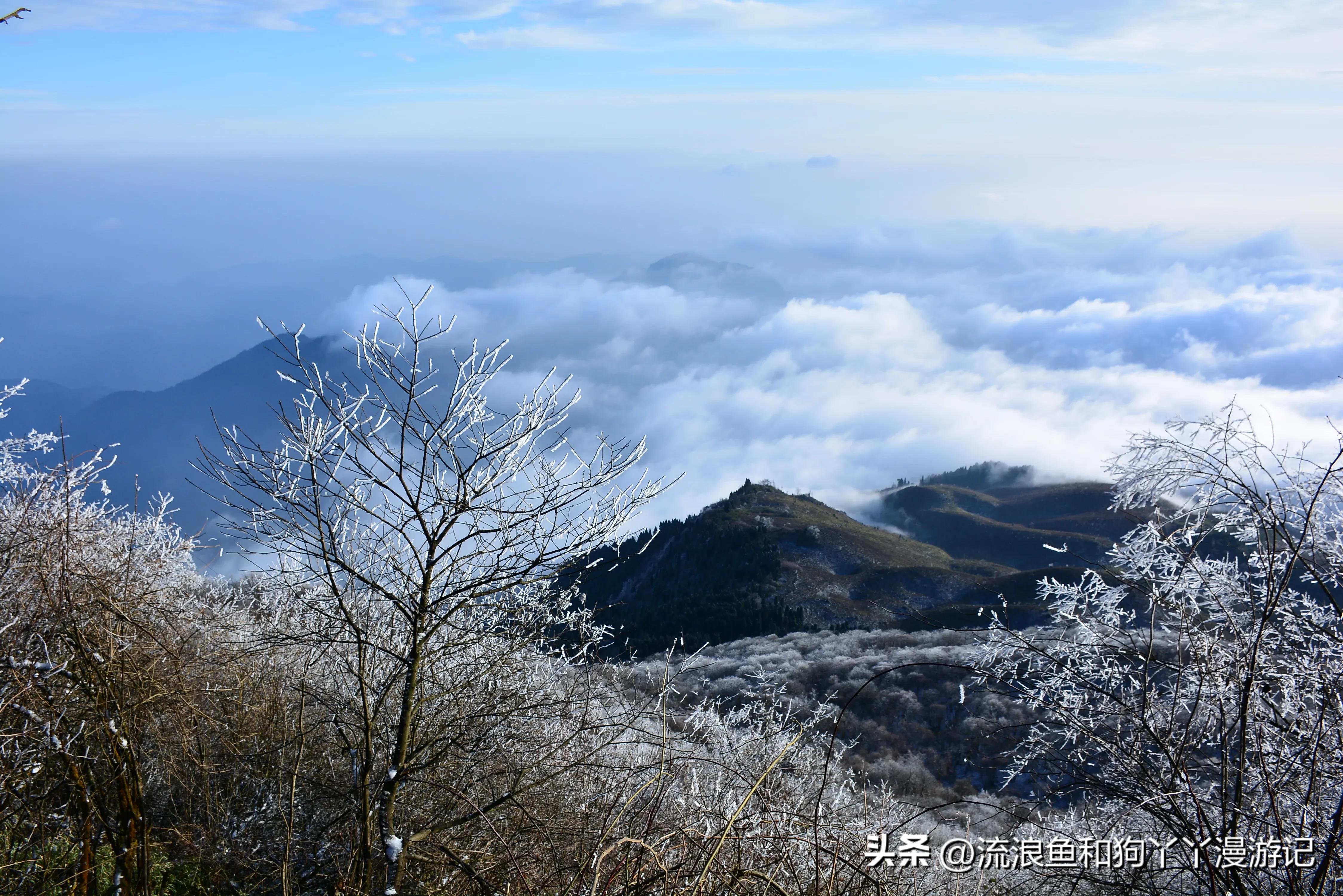 四月份成都近郊一日游好去处,2022成都近郊看雪一日游最佳去处