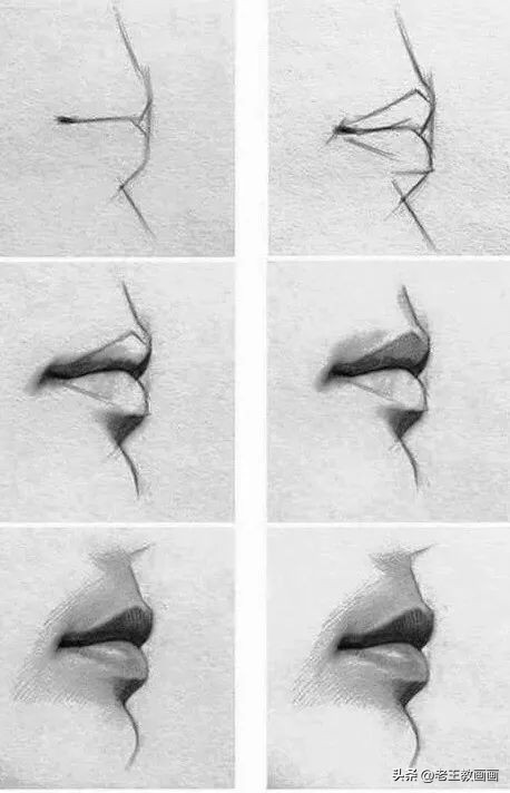 100种绘画基础入门,100幅零基础绘画教程