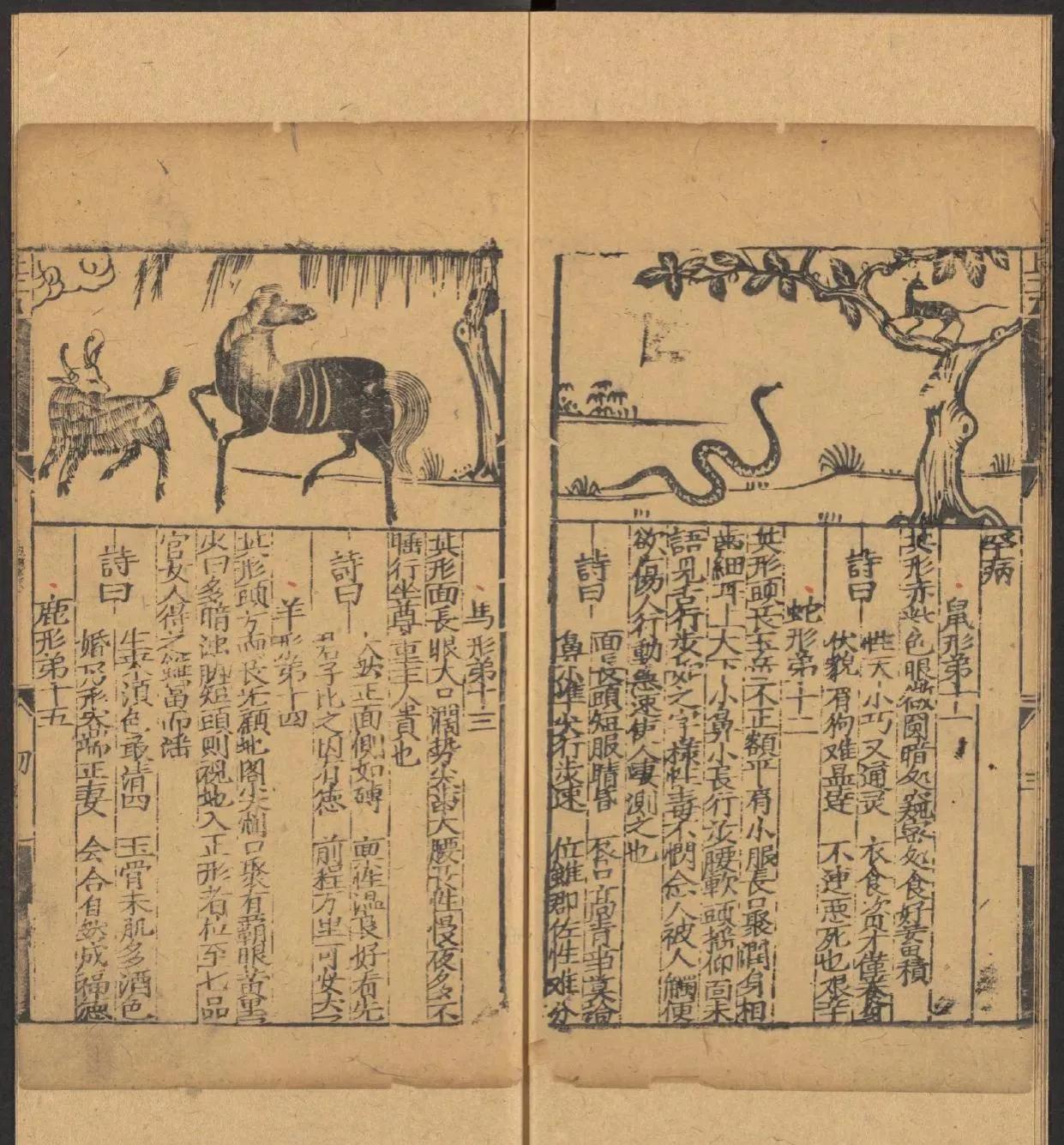 鎰熺煡鍘嗗彶鍝佸懗鏂囧寲缁忓吀,楹荤鐩告湳