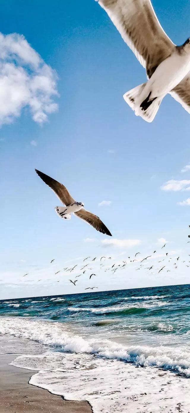 美丽的碧海蓝天壁纸,2018蓝色大海夏天壁纸