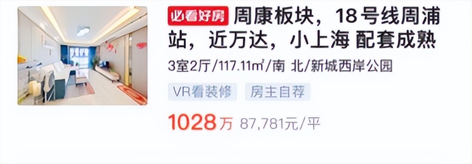 上海繁华地段的老破小,上海繁华地段和贫民区对比照
