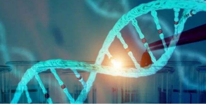 一针70万天价医疗,史上最贵药1300万一针