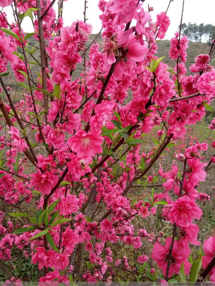 小姨子总是借钱该借吗,小姨子哭着来借钱