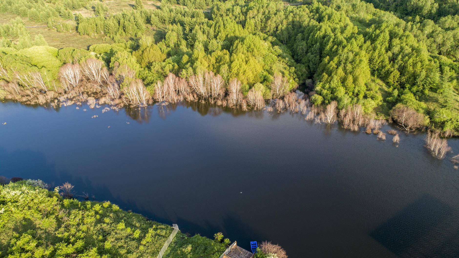 丰宁坝上草原的夏天,丰宁坝上草原夏天景色