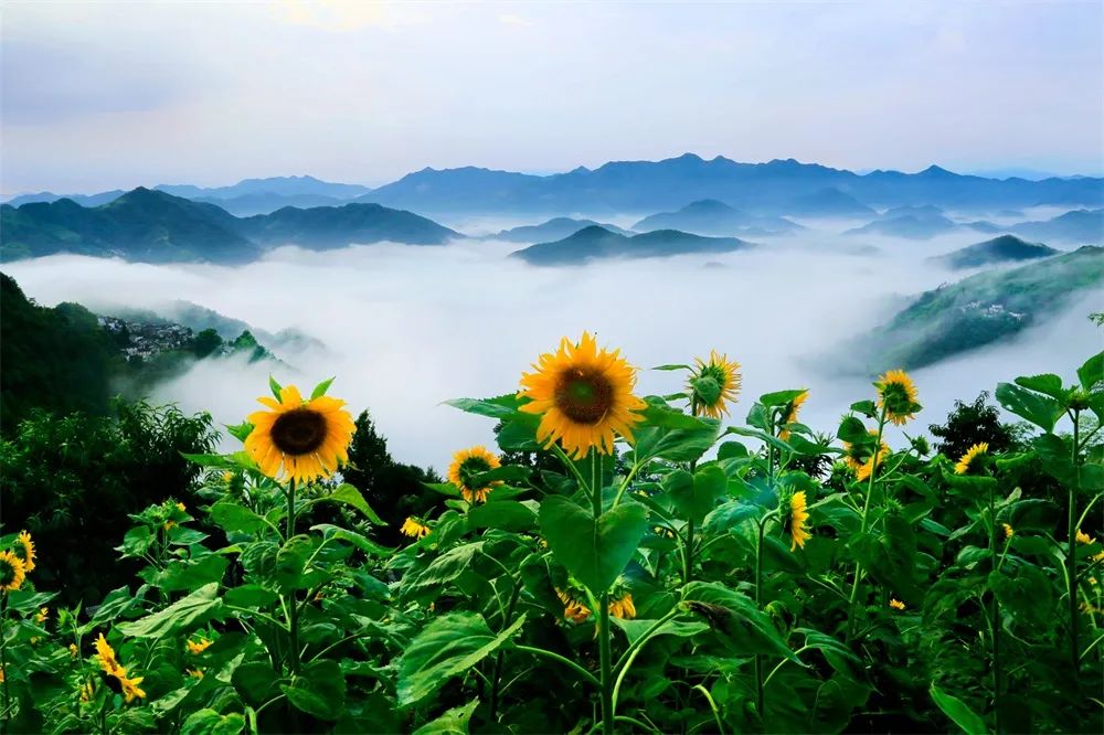 黄山歙县石潭百家摄影点,歙县石潭村最佳拍摄点