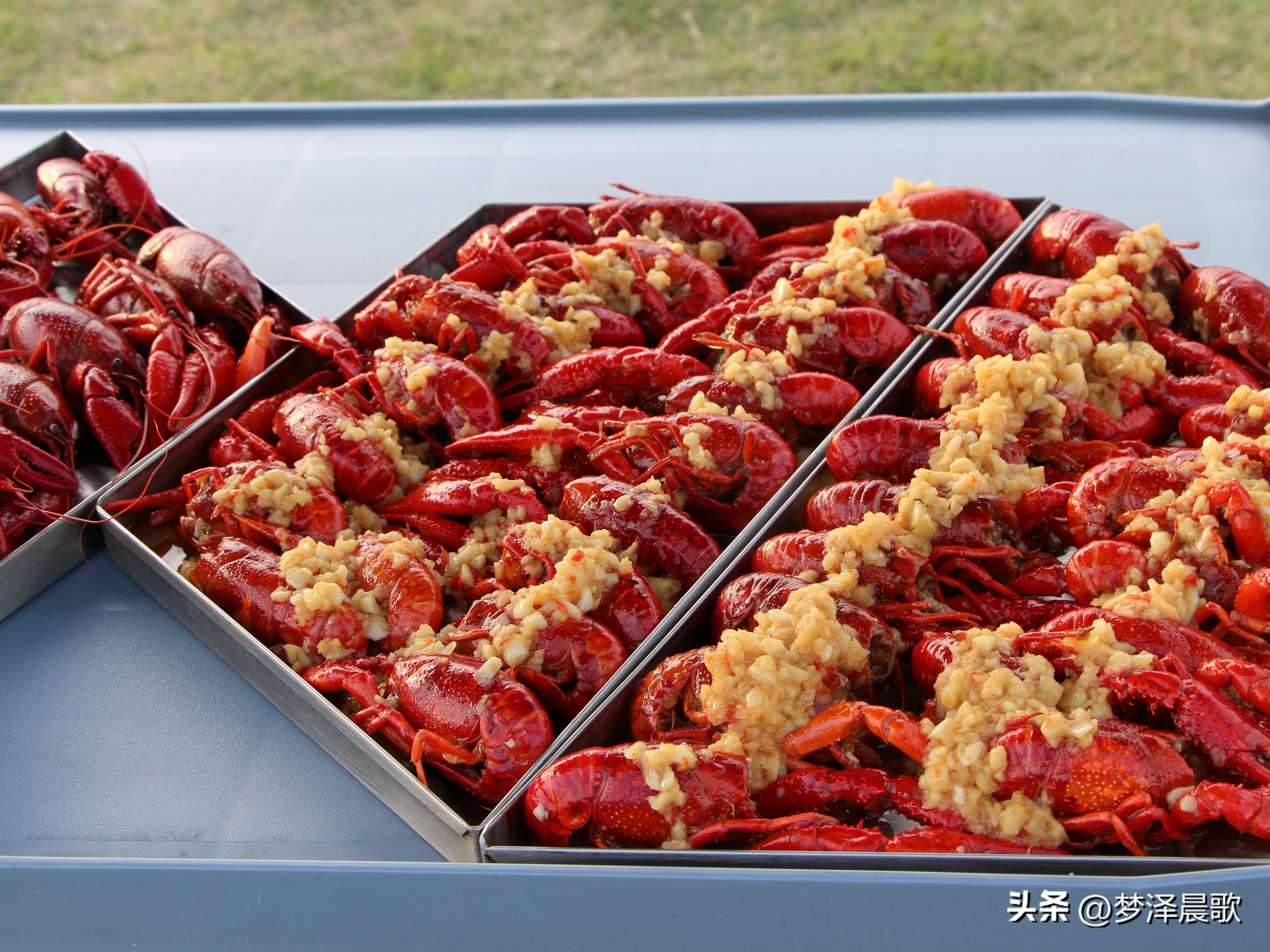 节日哪里去？醉美“伍湖四海”游人醉