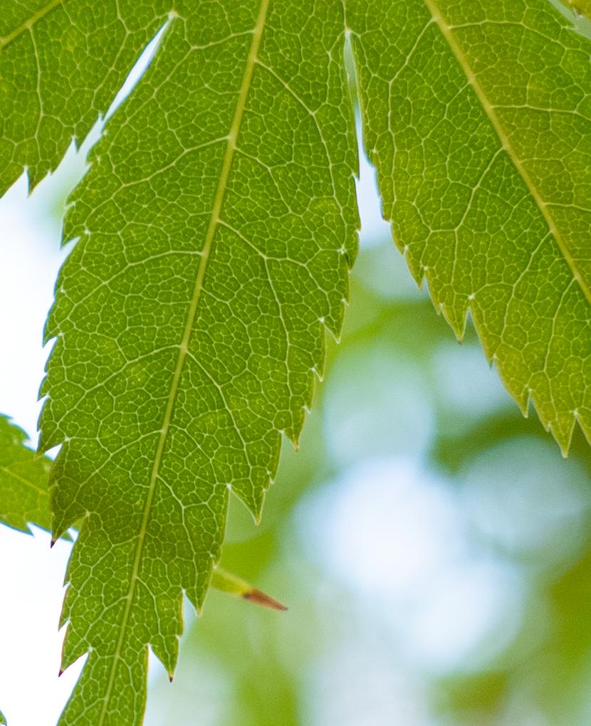 松下25mmf1.7评测,松下18mmf1.8缺点