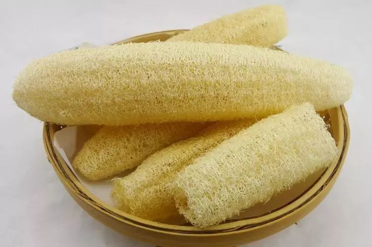 道仙草｜水瓜的“水分”