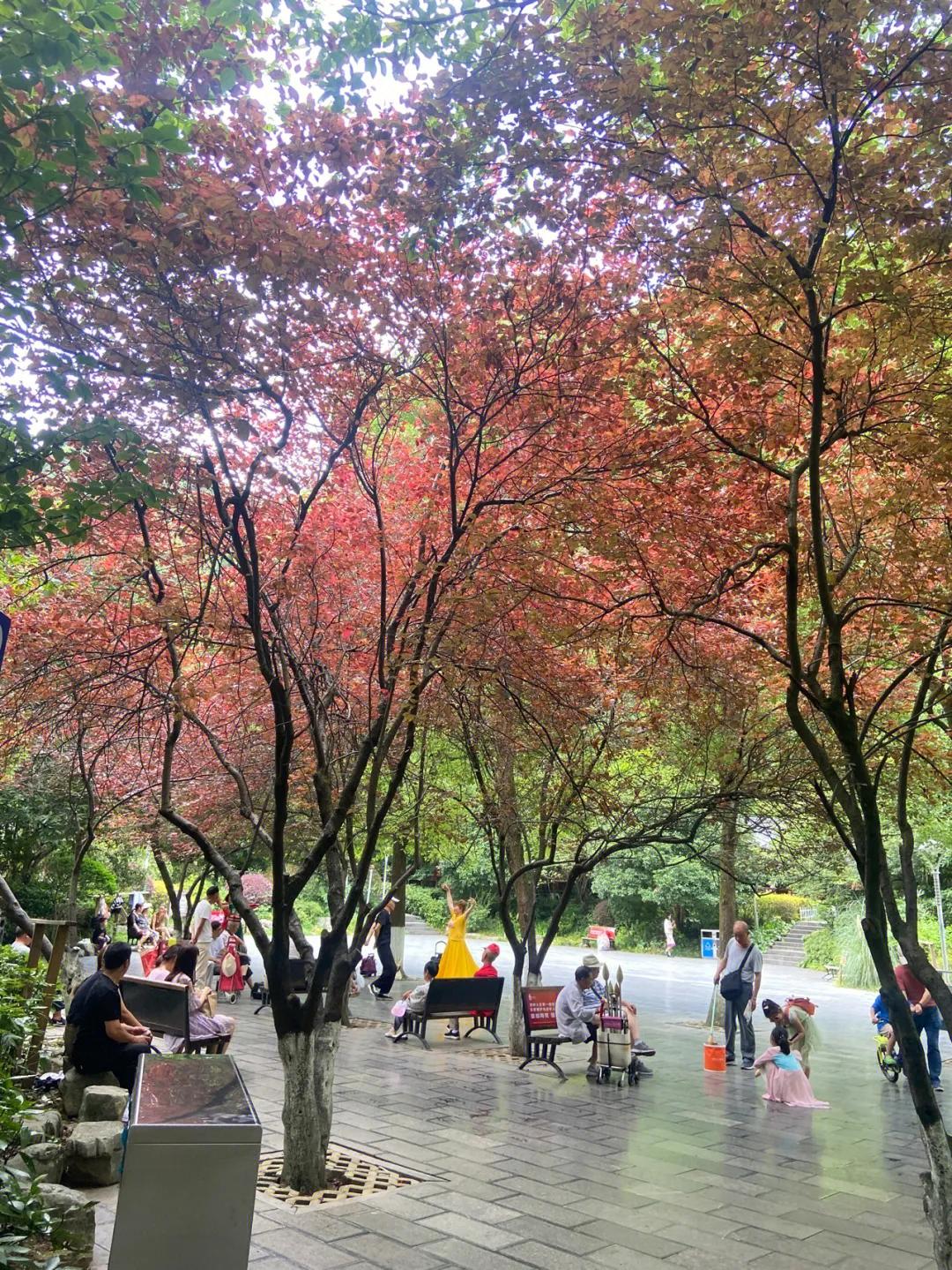 贵州贵阳黔灵山攻略,贵州黔灵山附近旅游攻略