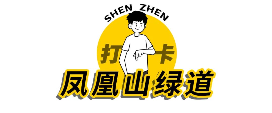 凤凰山绿道开放时间,凤凰山绿道全长多少公里
