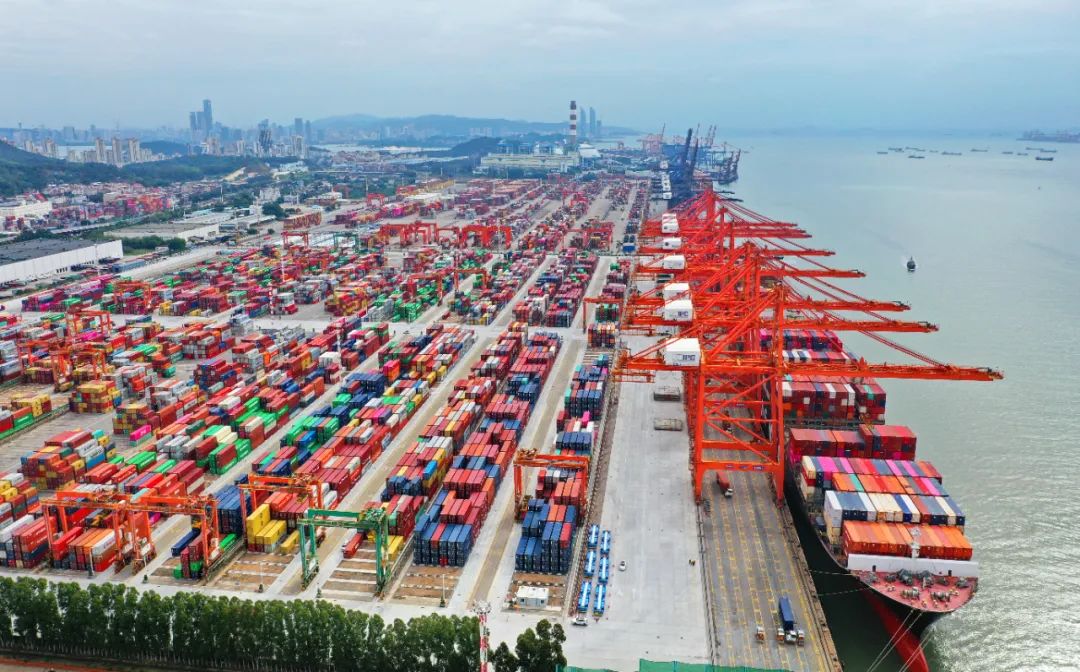 四十年逐梦深蓝：全球大港从“量”到“质”的蝶变|港口圈