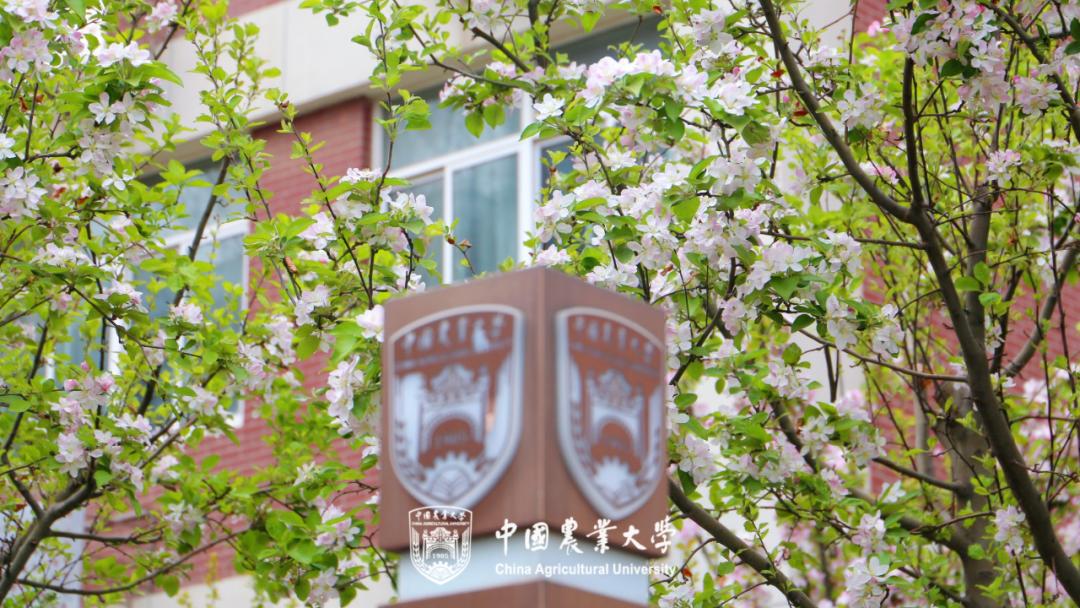 何为中国农业大学？举农为本，一“曲”传四海，“辰”光遍神州！