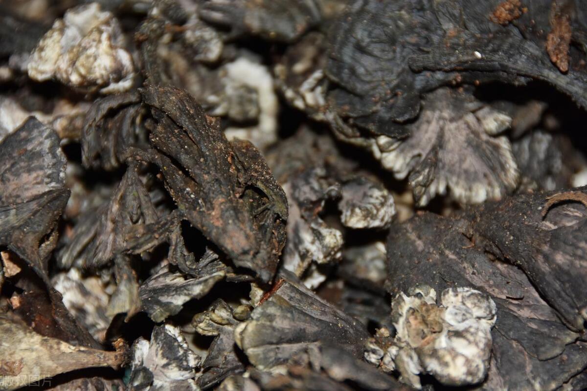 中国最著名的顶级食材是什么,中国公认六大顶级食材