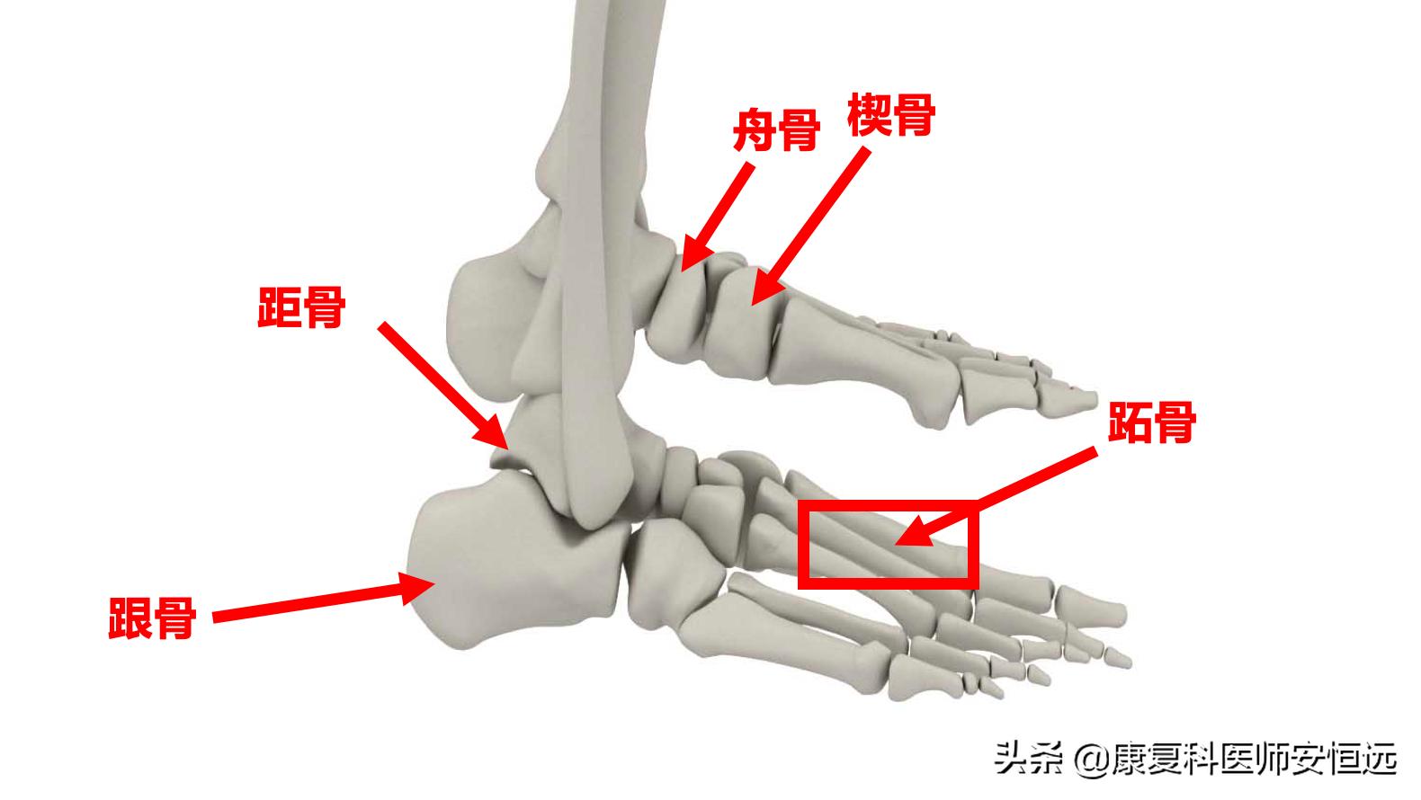 脚底板前面长茧子很疼怎么治疗,脚底板长很厚茧子疼怎么去除