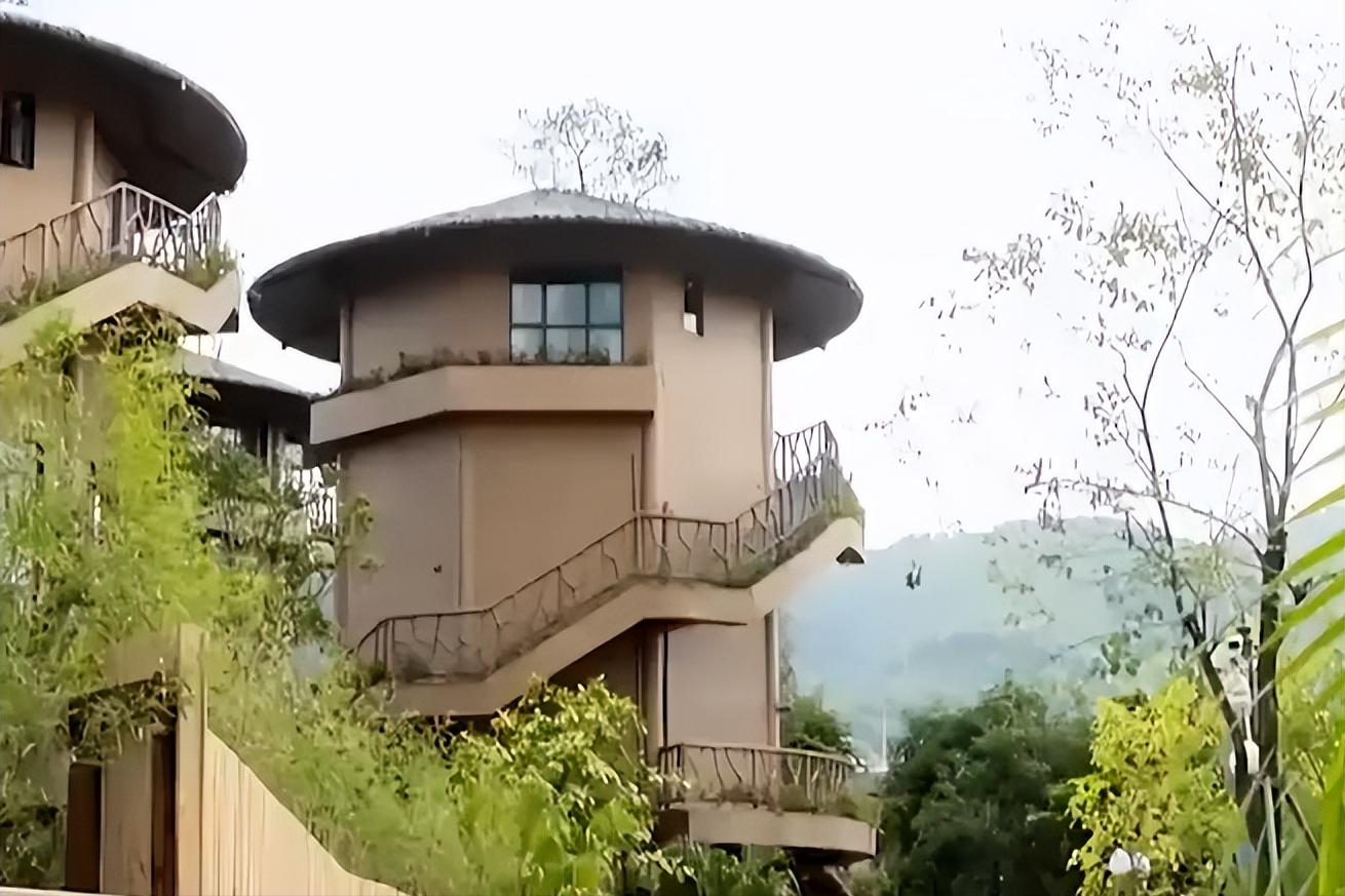 小伙子种火龙果四年身价过亿,种植火龙果一年挣1千万