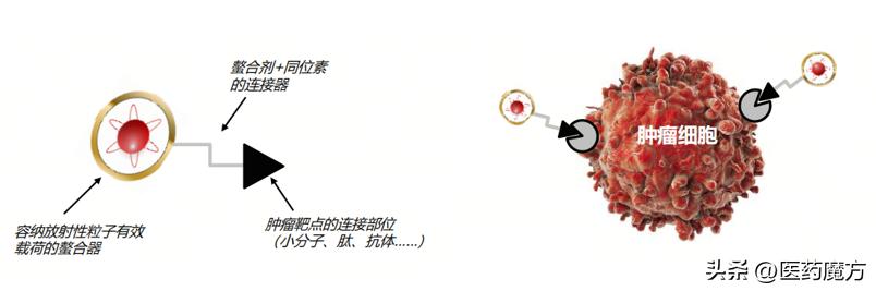 艾博兹医药：硬“核”创新，引领靶向治疗新篇章