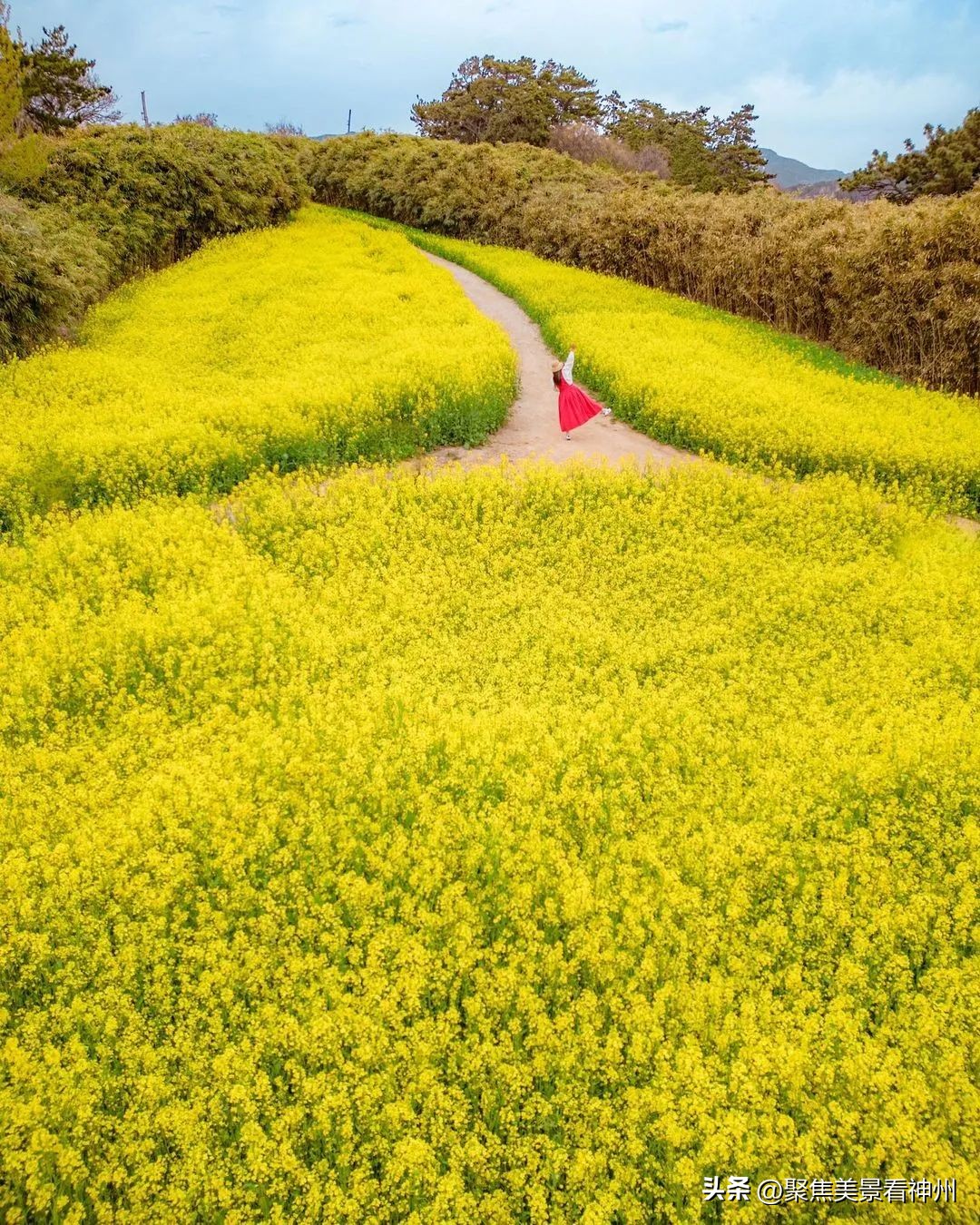 摄影镜头中的大地，既是油画也是梦境