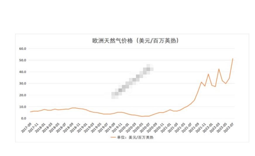 海水稻最新发展,海水稻真的难吃么
