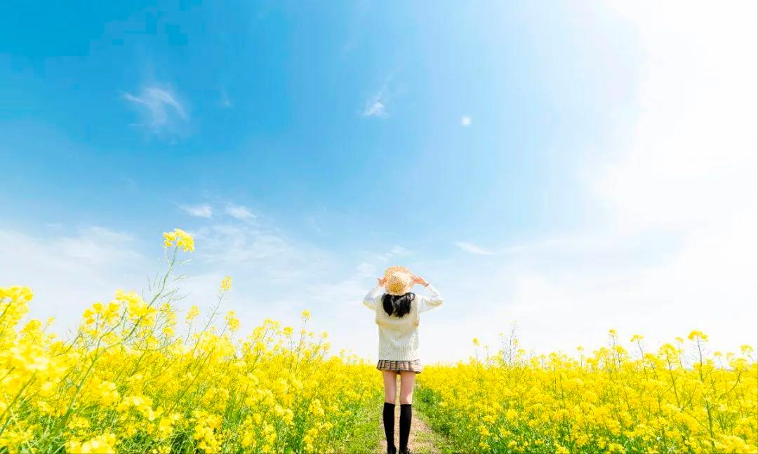 最美婺源油菜花跟风来一下,苏州自驾到婺源看油菜花的地方