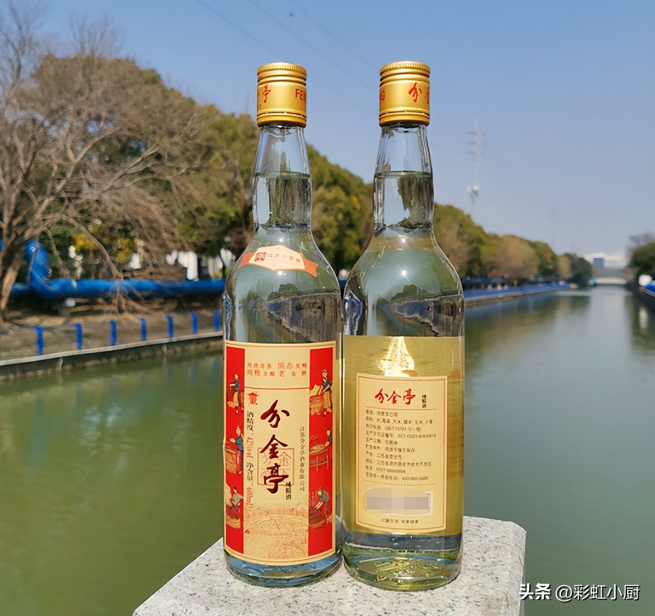 为什么都说洋河酒不好喝,洋河什么酒最好喝
