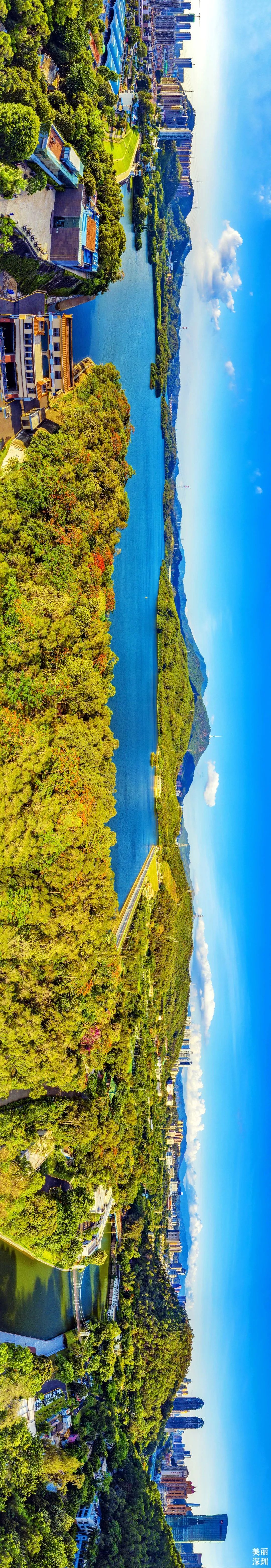 深圳莲花山公园航拍,航拍深圳凤凰山公园