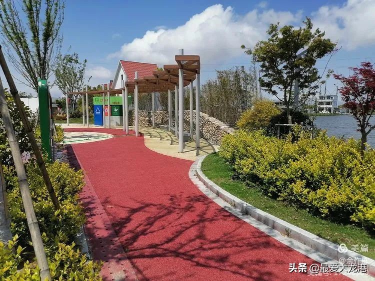 龙港市水心夜景,龙港市水心岛天气