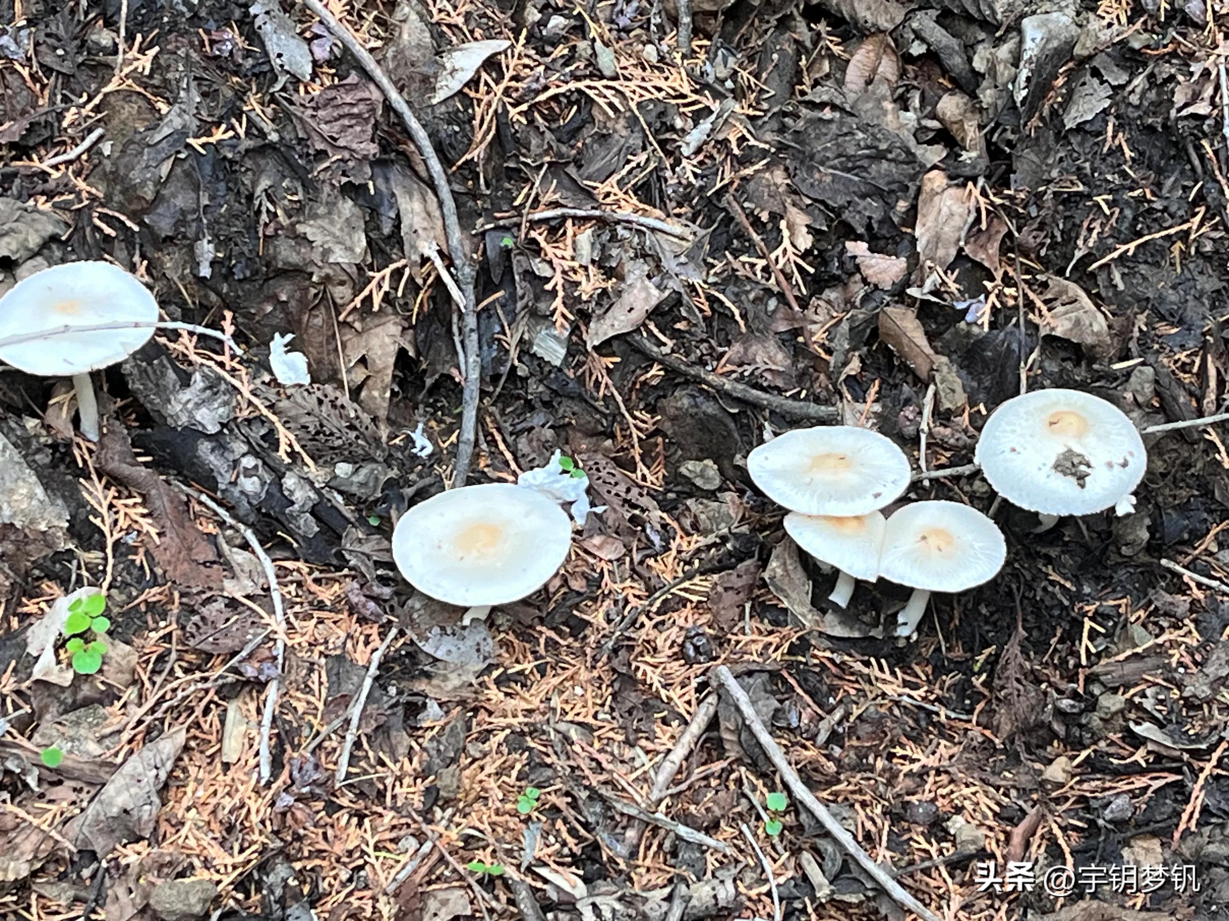 这天爬泰山要穿什么,这天爬泰山