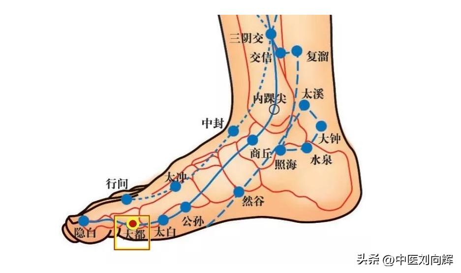 脾经最易堵塞的穴位,脾经堵什么症状