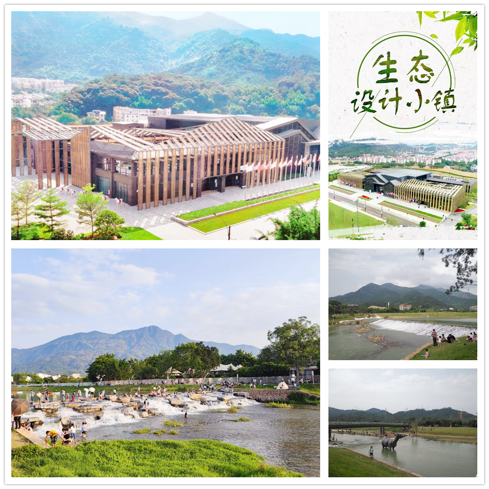 夏季从化必去十大免费景点,从化南品荔枝旅游攻略