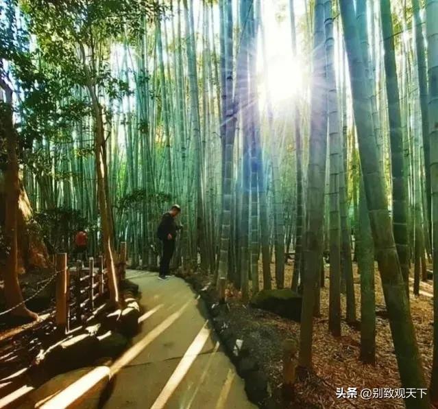 深度解析真实的日本,解读真实的日本人