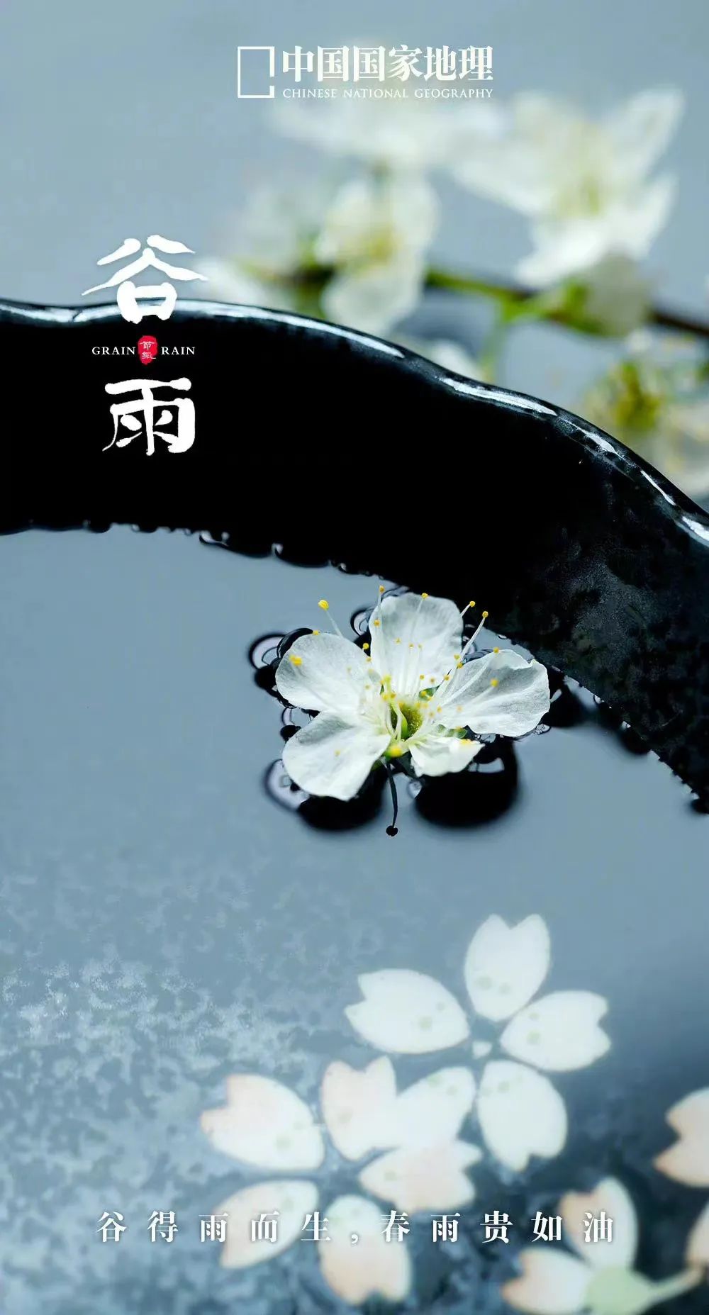 一年中最有智慧的节气图片,365天最美24节气图诞生惊艳国人