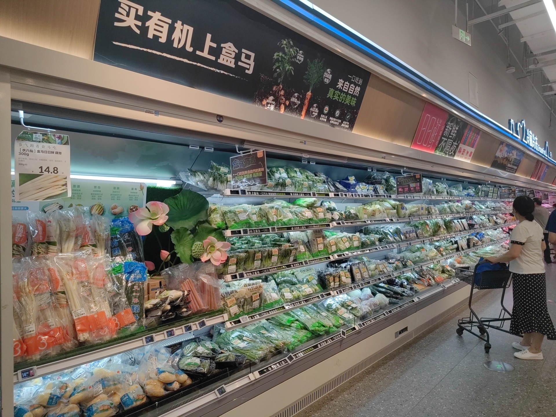 消夏时令菜“抢鲜”上市，盒马“水八仙”你吃过几样？