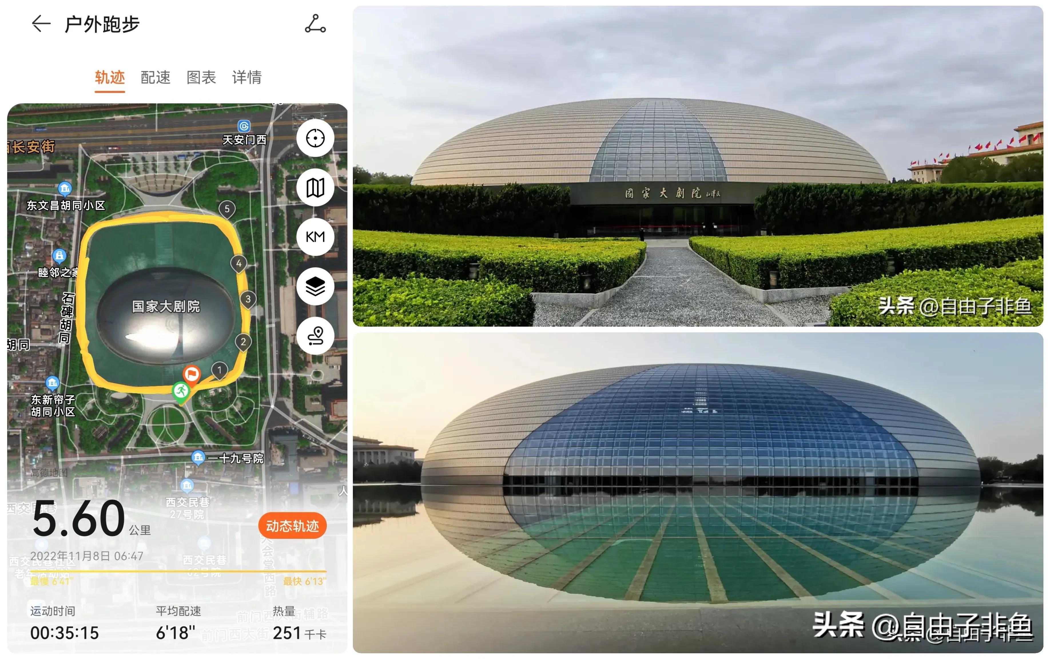 北京植物园跑步路线,北京适合跑步的地方