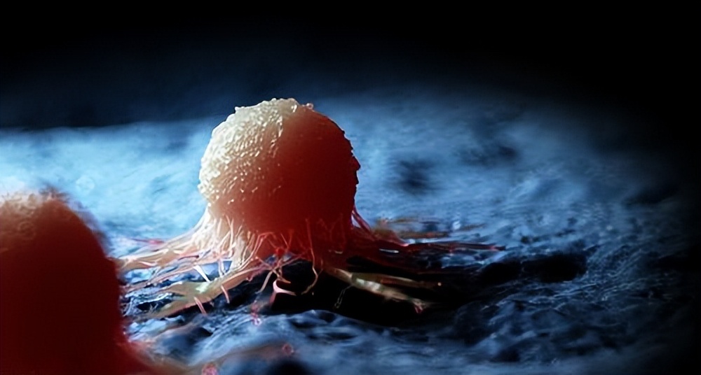 科学家发现癌症不可治愈的原因,医生得了癌症真的不治疗么