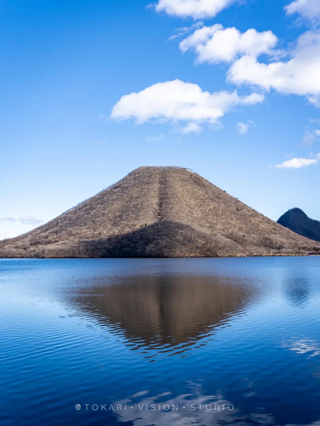 日本旅行跟团游东京北海道,日本旅行中文团